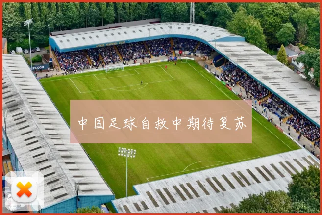 中国足球自救中期待复苏