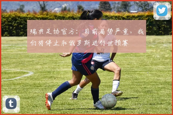 瑞典足协官方：目前局势严重，我们将停止和俄罗斯进行世预赛