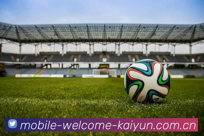 开云(kaiyun)手机APP 封面图